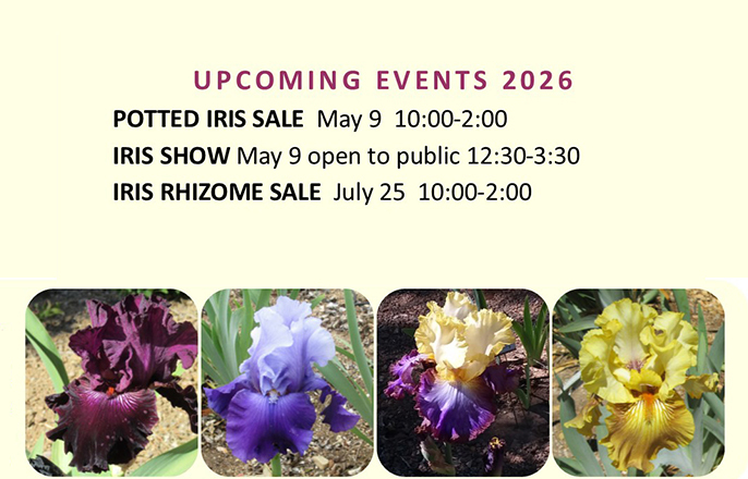 Upcoming Events 2026