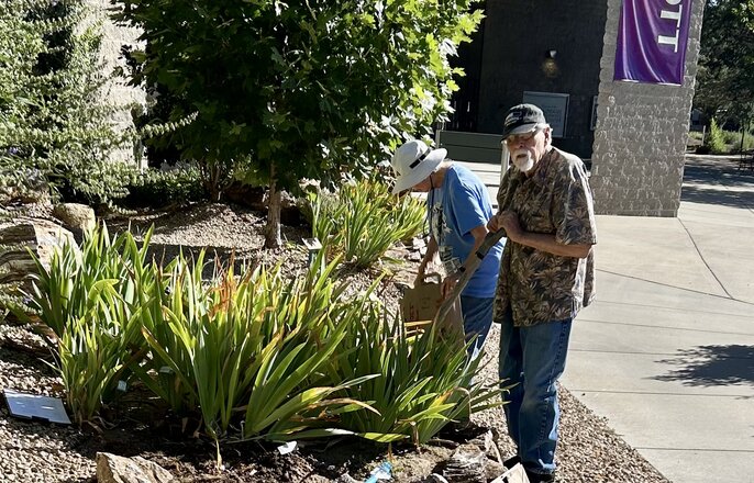 Community Iris Garden Maintenance