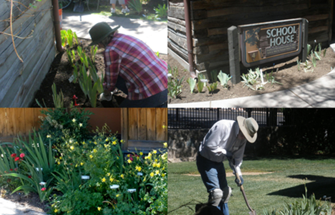 Sharlot Hall Museum Historic Iris Gardens